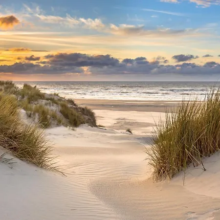 Chalet Aan Het Brielse Meer * Brielle